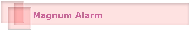 Magnum Alarm